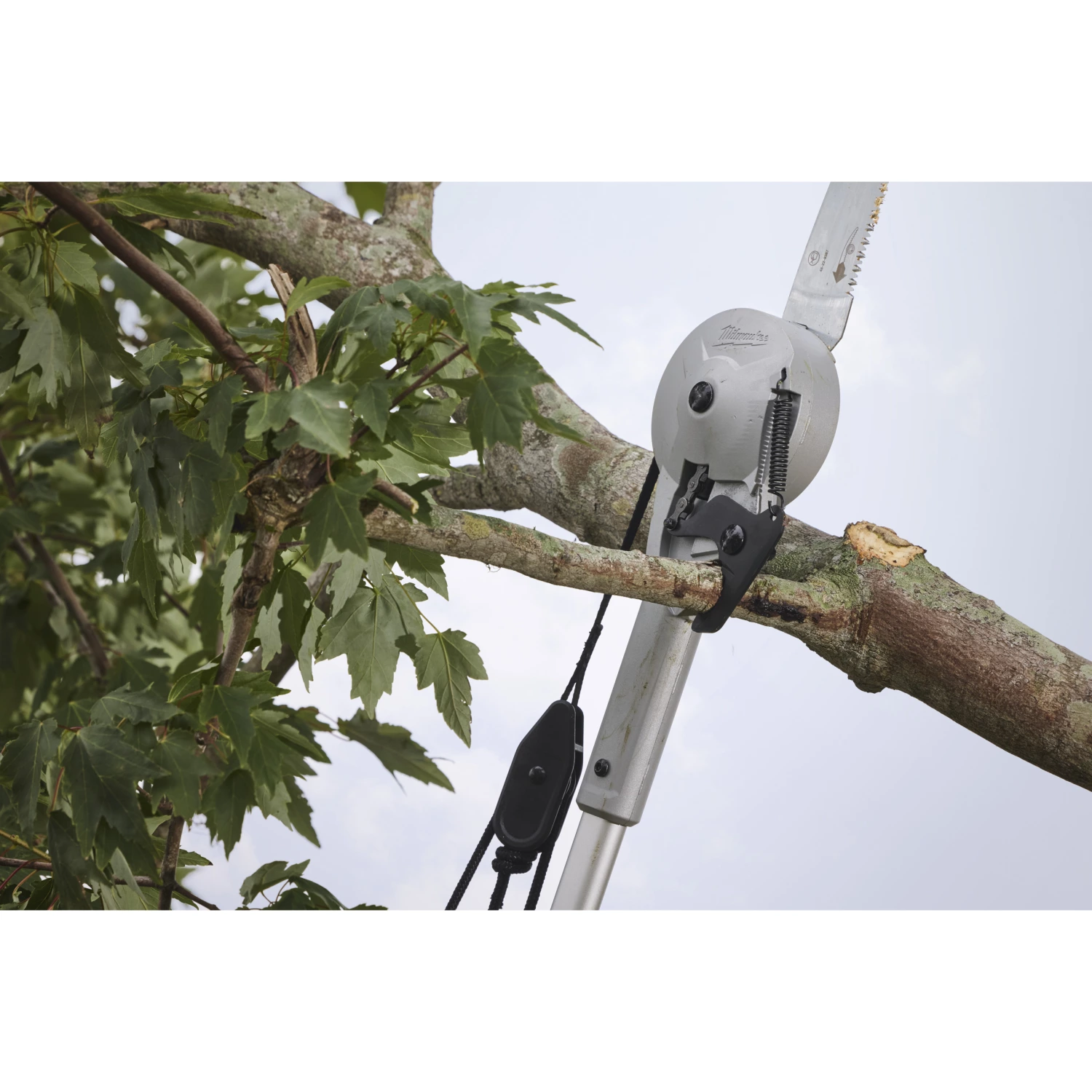 Milwaukee 4932498626 Scie à perche et sécateur-image