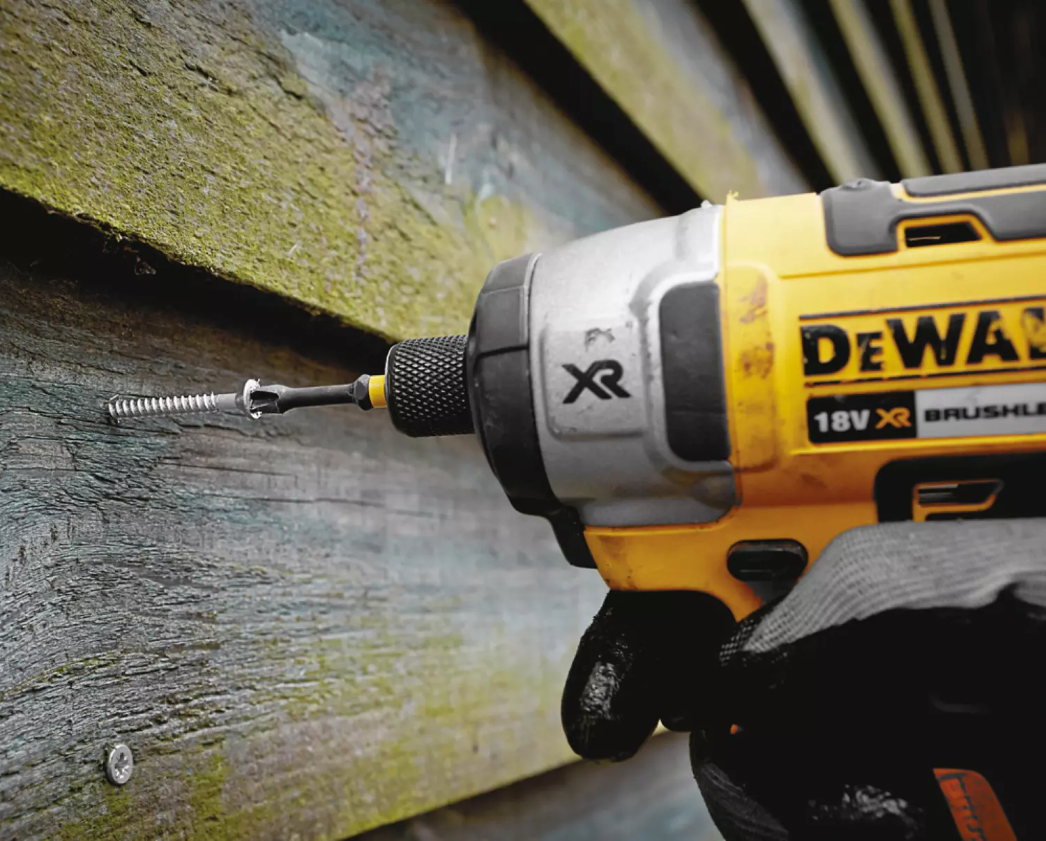 DeWALT DT7998T Impact schroefbits - PH2 x 50mm (5st)-image