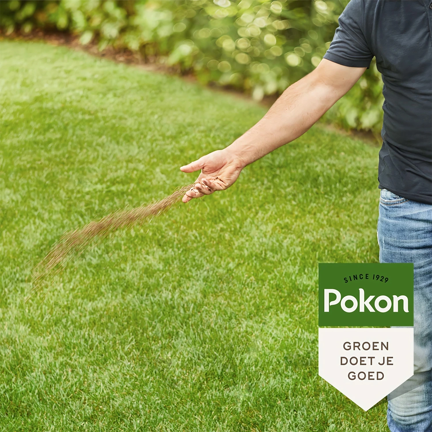 Pokon Engrais bio pour gazon pour 15 m²-image