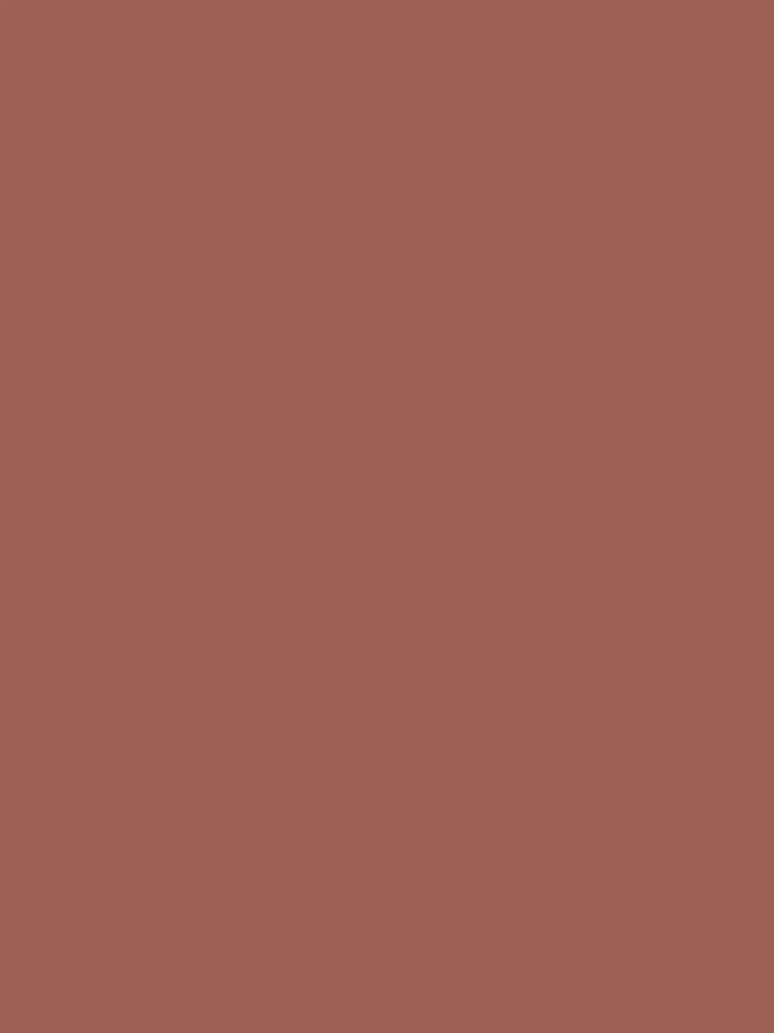 Flamant 3T60430 Peinture murale-image
