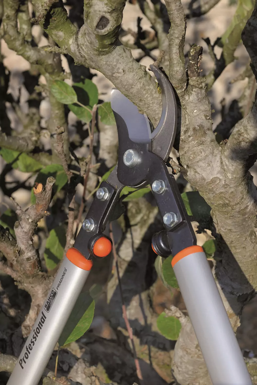 Bahco P160-SL-90 - Ébrancheurs longs à lames croisantes, légers et à usage professionnel, 45 mm, avec poignée en aluminium et contre-lame forgée-image