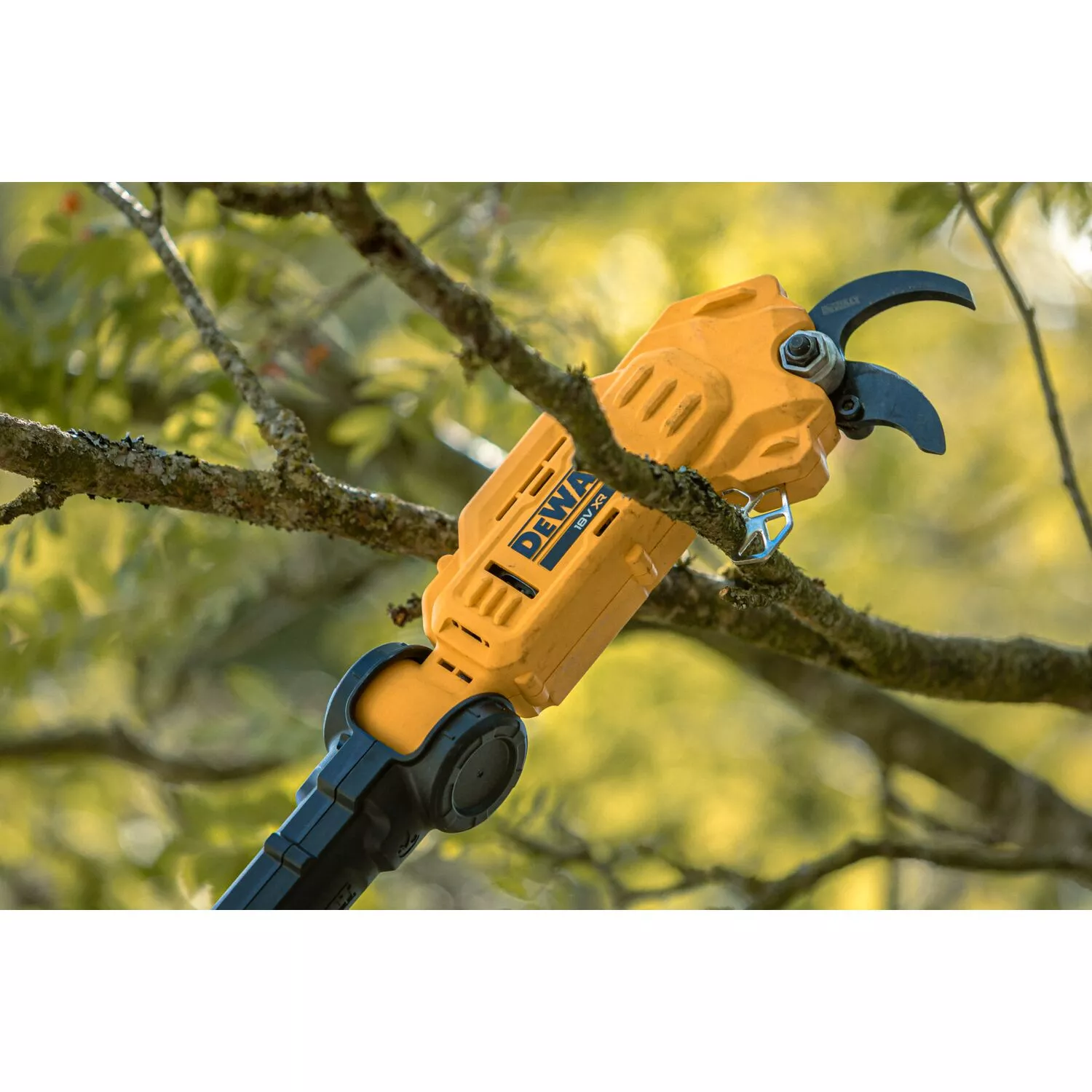 DeWALT DCMPP569N Corps de sécateur sans fil Li-ion 18 V-image