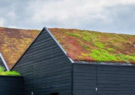 Création d'un toit végétal en 5 étapes