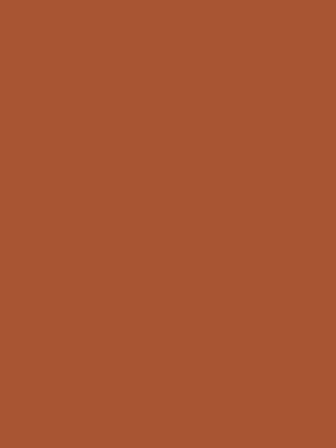 Flamant 3T60254 Peinture murale-image