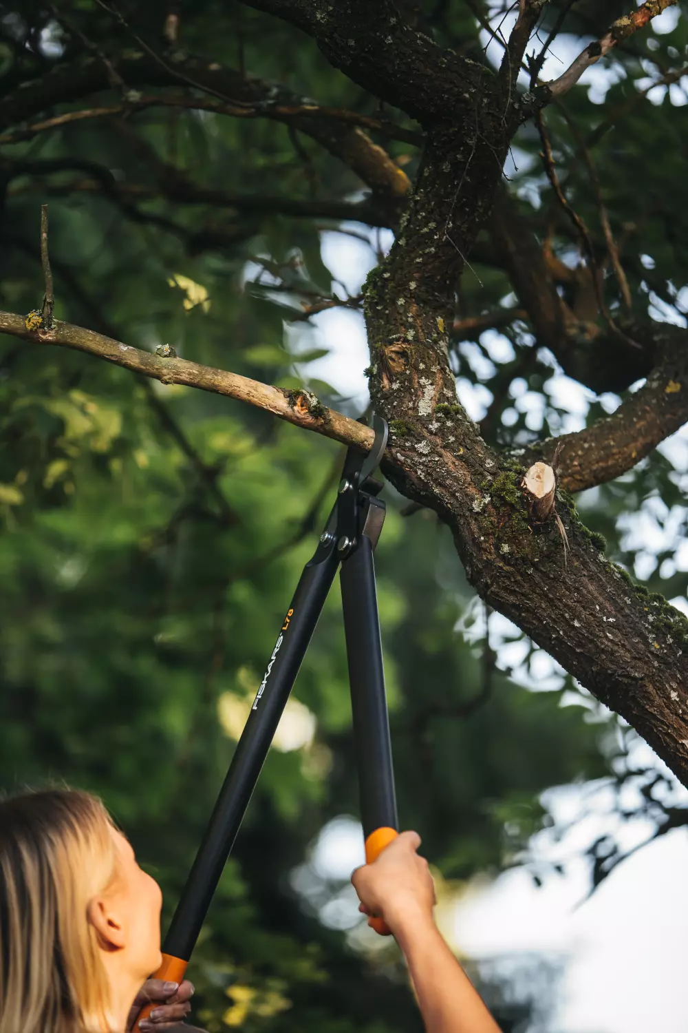 Fiskars L78 PowerGear bypass II takkenschaar-image