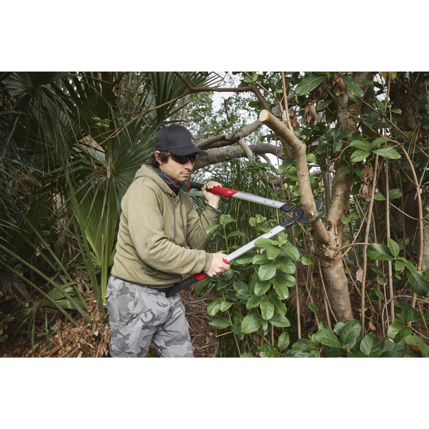 Milwaukee 4932498625 Ébrancheur à lame franche 50 mm-image