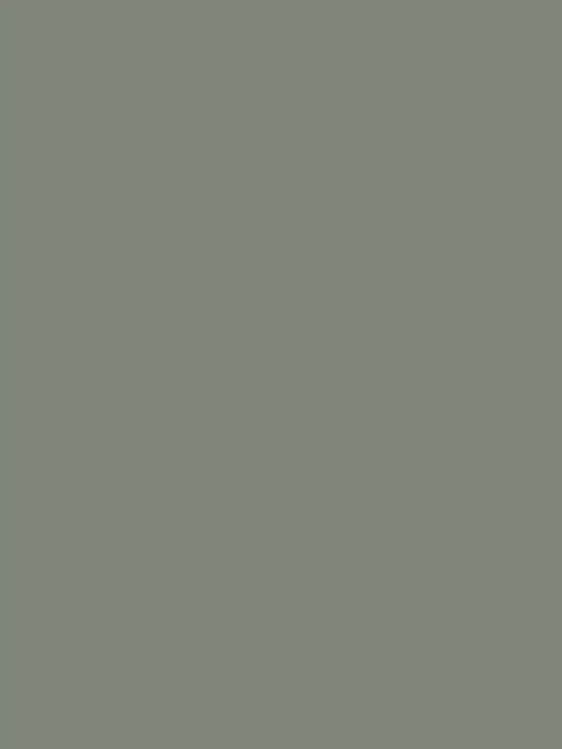 Flamant Samplepot 125ml P78 Vert Gris-image