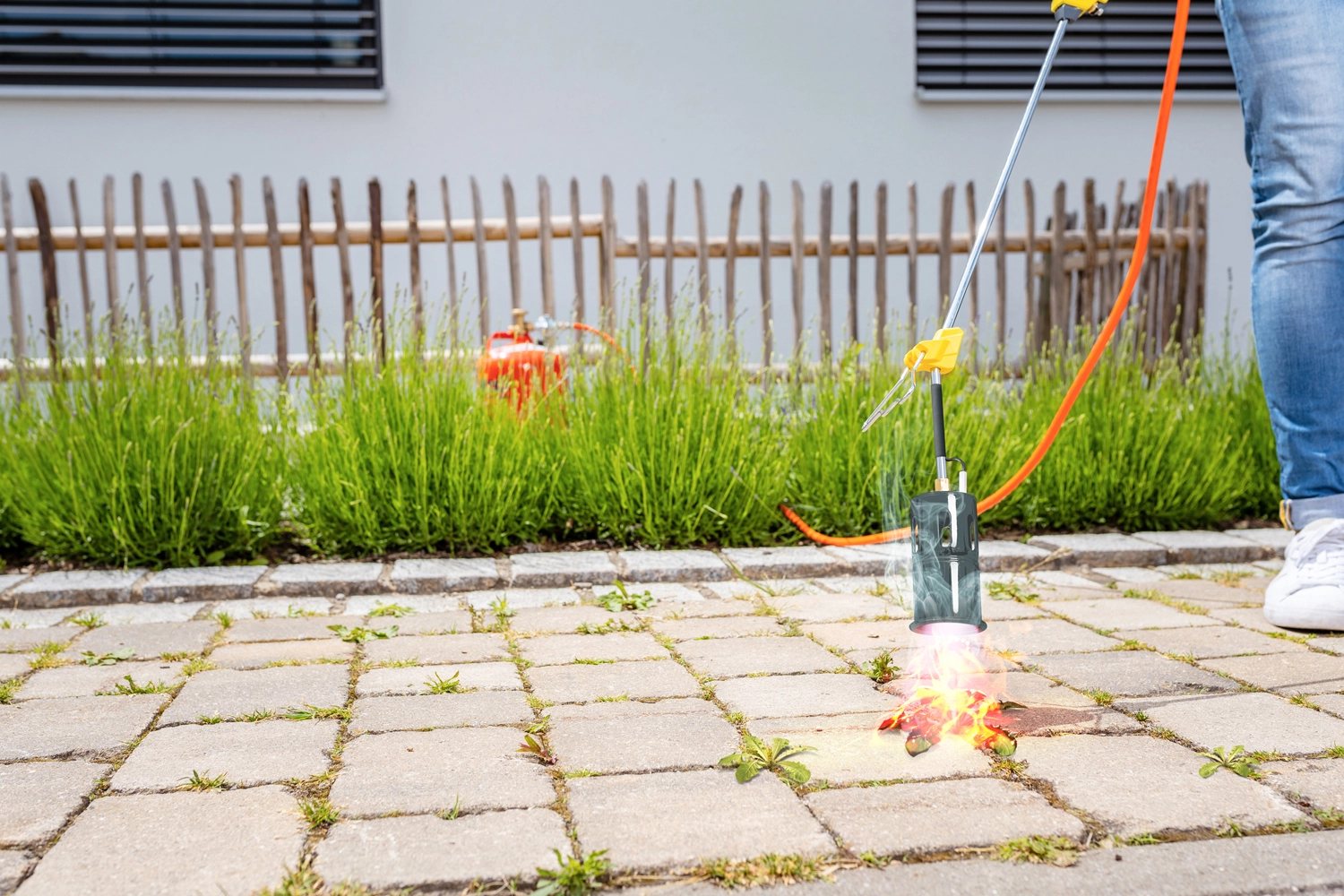 Gloria Thermoflamm Bio Professional E+ - Brûleur de désherbage à gaz - Set - 1200°C-image