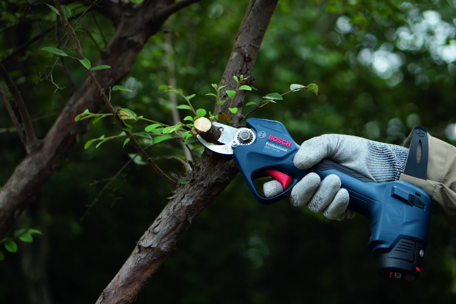 Bosch GGP 12V-25 12V accu snoeischaar body-image