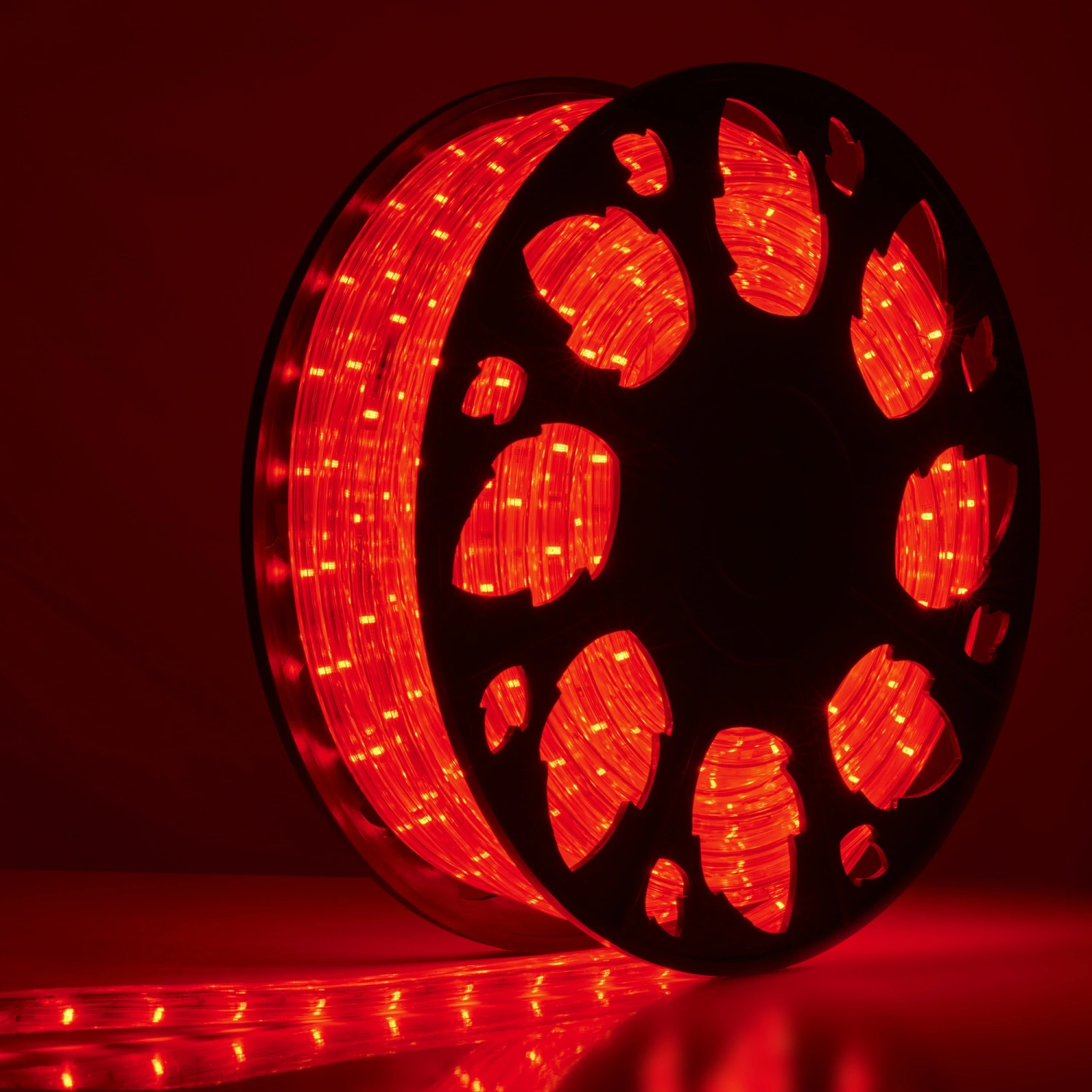 Bailey RoBust LED Rope 360° 25M 5W/m Rouge IP65-image