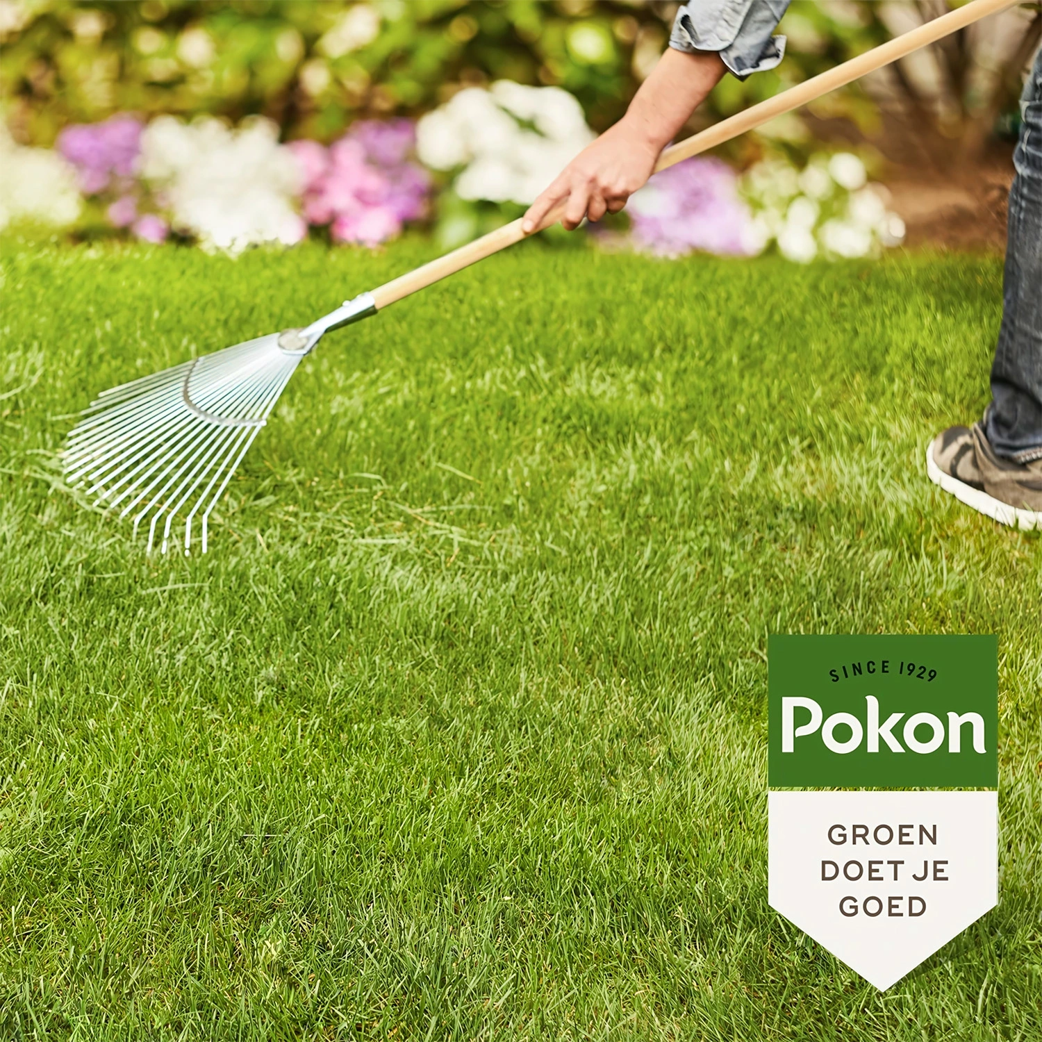 Pokon Gazonmest met Kalk 3-in-1 - 15m2-image