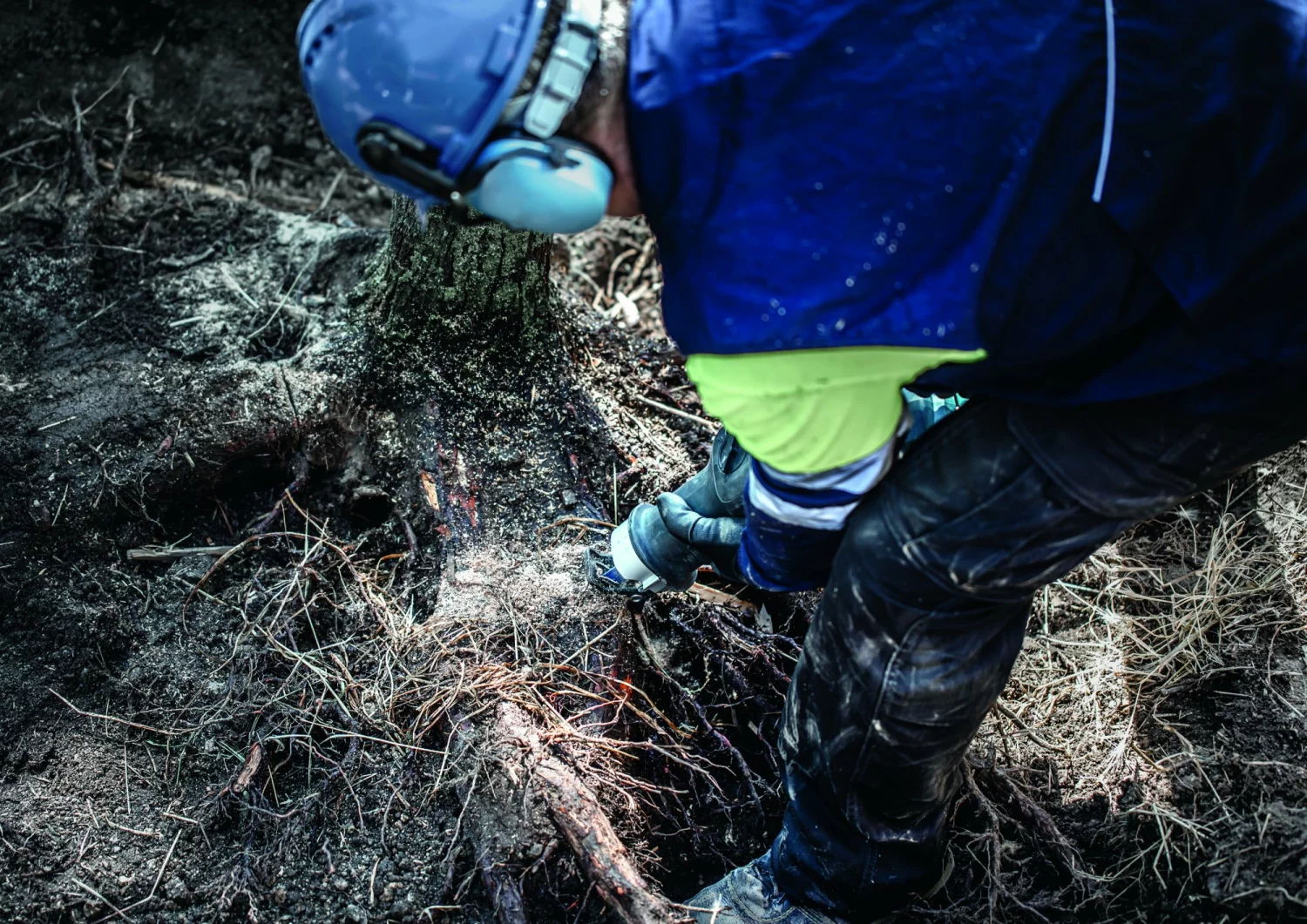 Bosch 2608900406 EXPERT Reciprozaagblad S1242KHM Tough Wood-image