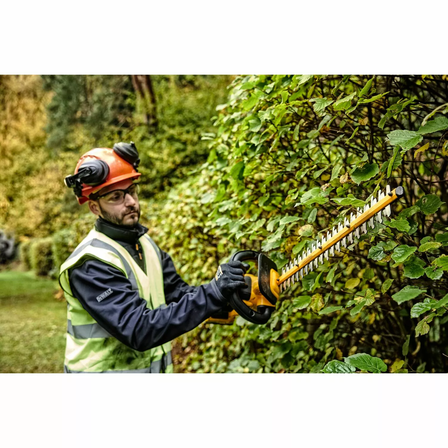 DeWALT DCMPH566P1 18V XR Li-Ion Taille-haie sur perche set (1x 5.0Ah Batterie) - Sans balais - 550mm-image