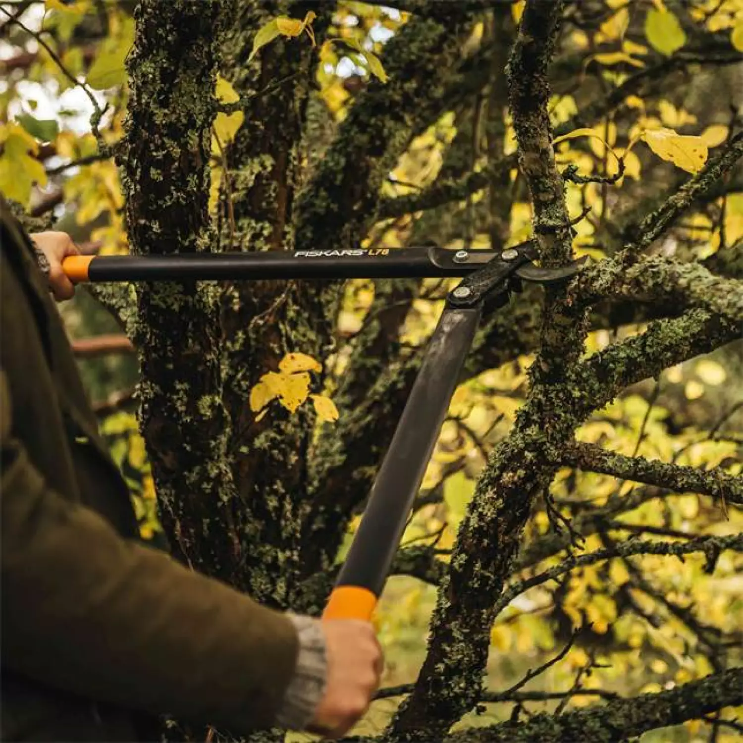 Fiskars L78 PowerGear bypass II takkenschaar-image