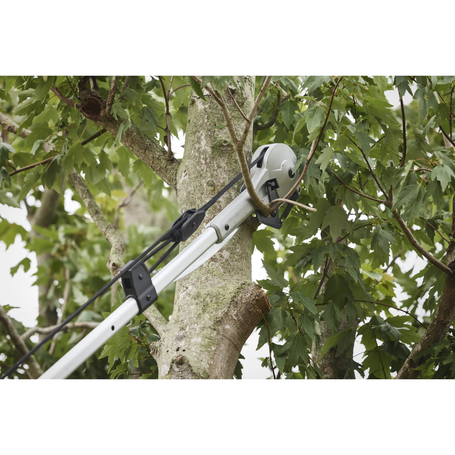 Milwaukee 4932498626 Scie à perche et sécateur-image