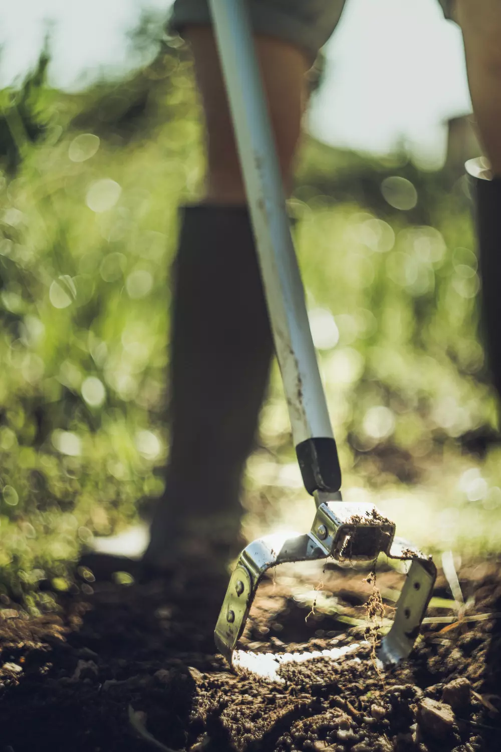 Fiskars - Grattoir oscillant - 167,5 cm - 13,5 cm - Acier inoxydable/Plastique - Xact - 1027042-image