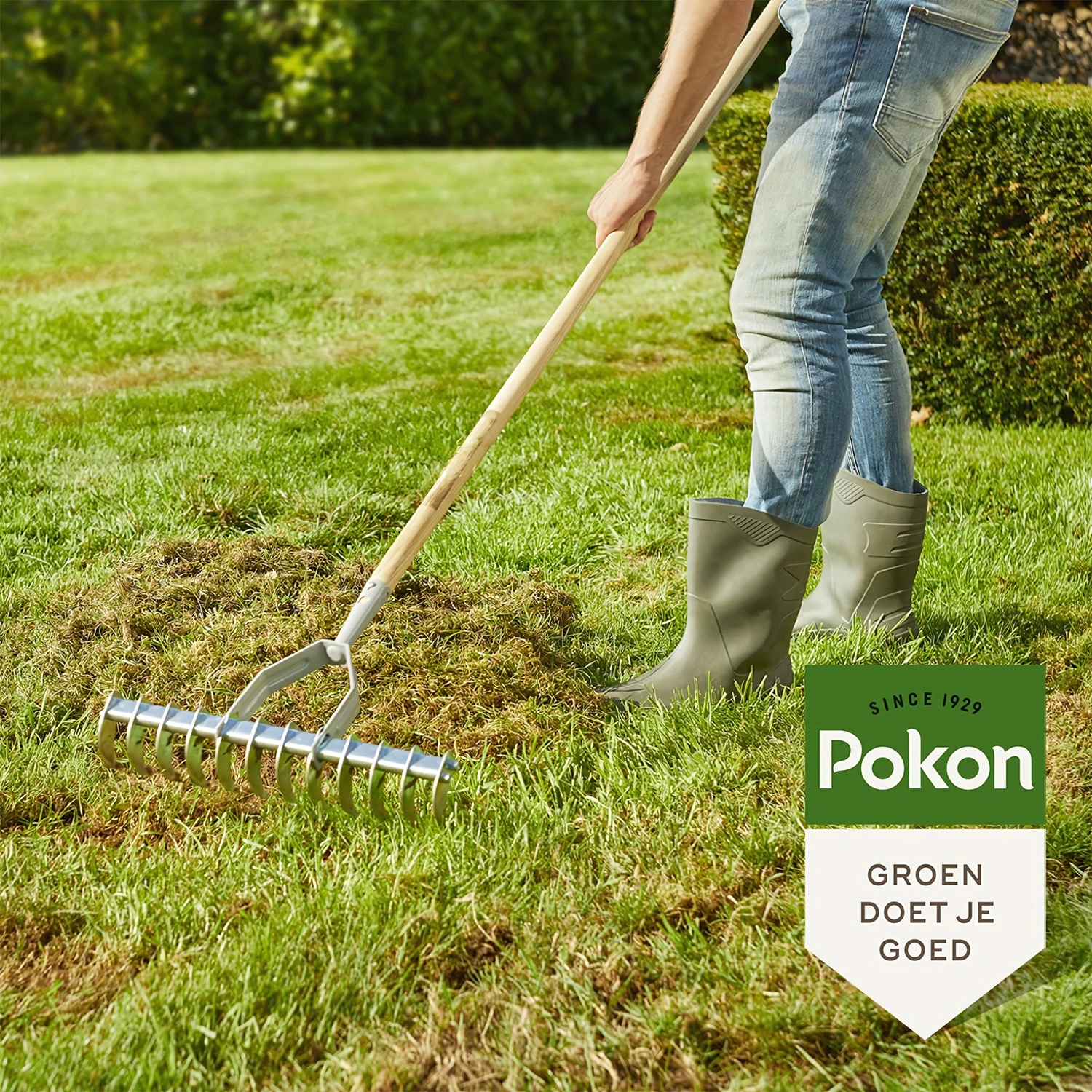 Pokon Graszaad Herstel - 1kg-image