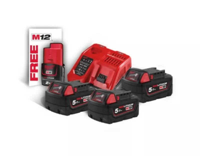 Milwaukee M18 FFN-502C - Set cloueur de charpente Li-Ion 18V (2x batterie  5.0Ah) dans mallette - 2,9-3,32mm - 50-90mm